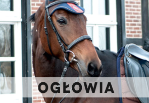 Ogłowia i akcesoria